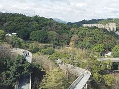 -福道