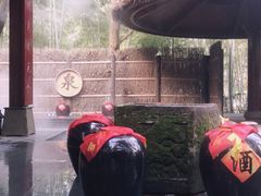 -天目湖御水温泉·度假酒店