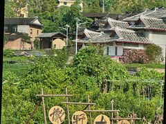 -福建土楼（华安）旅游区•大地土楼群