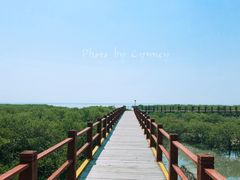 -北海金海湾红树林生态旅游区