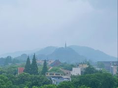 -杭州温德姆至尊豪廷大酒店