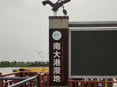 -南大港湿地风景区