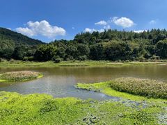 -九鲤湖风景区