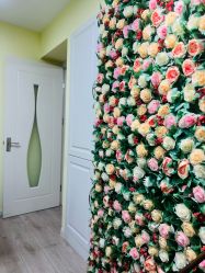 -变美丽半永久纹眉连锁·机器野生眉•洗眉