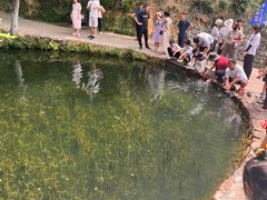 -韶山毛泽东同志故居