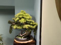 -徽镇小厨·经典徽菜(十里河店)
