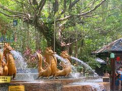 -嘉和K6温泉微度假