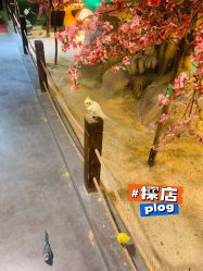 -酷嗒动物文化乐园(cutezoo西溪乐天城店)