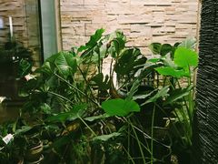 -苏沐堂全息足浴·SPA·按摩(万科美好广场店)