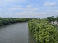 -广富林郊野公园
