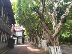 -乐山市博物馆