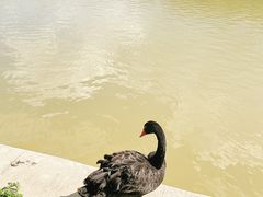 -哈尔滨北方森林动物园