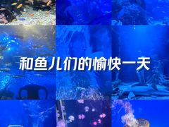 -太平洋海底世界