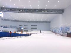 -哈尔滨热雪奇迹