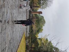 -金钉子远古世界景区