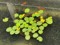 -兰亭风景区