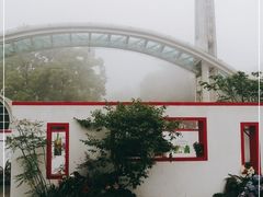 -南山植物园