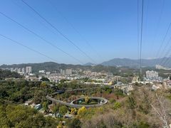 -福道