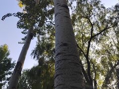 -北京动物园-畅观楼