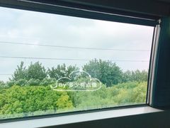 -龙阳路磁悬浮列车总站-停车场