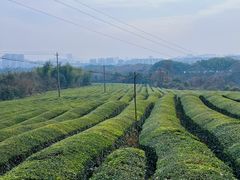 -敬亭山风景名胜区