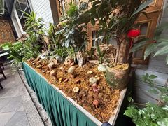 -蔼若春.传承三十年云南菜(金碧公园店)