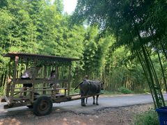 -杭州双溪漂流景区