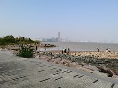 -深圳湾公园(南山区)