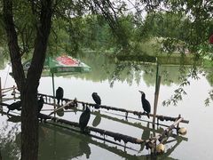 -长兴太湖图影湿地文化园