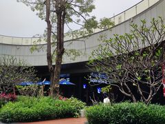 -厦门高崎国际机场-T3航站楼