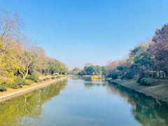 -上海海湾国家森林公园