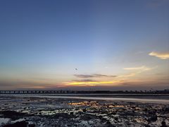 -宝安西湾红树林湿地公园