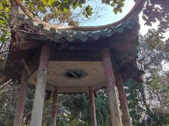 -水绘园