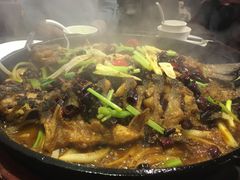 -老板恋上鱼(恒隆广场店)