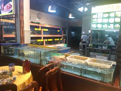 -皮记海鲜1995(寮步店)