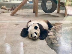 -西安秦岭野生动物园