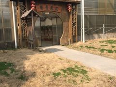 -上海都市菜园