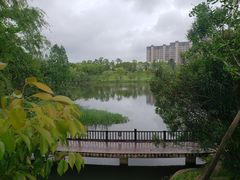 -洋湖国家湿地公园