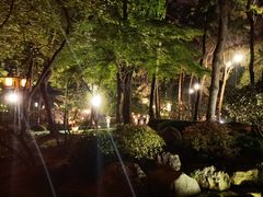 -唐城墙遗址公园