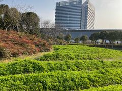 -春花秋色城市公园