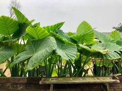 -悦哉·派对·草坪婚礼·围炉煮茶(三圣乡店)