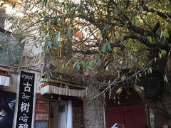 -古树酸奶(八廓南街店)