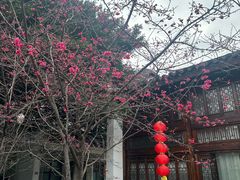 -乌山风景区