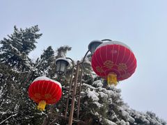 -团结湖公园