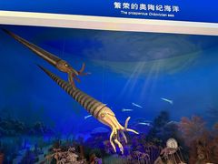 -国家自然博物馆