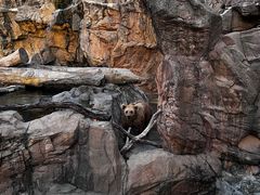 -珠海长隆海洋王国
