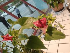 -蛙一刀·麻椒鱼火锅(金仙桥店)