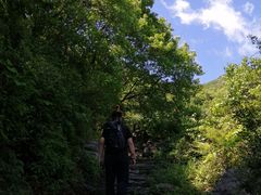 -阳台山自然风景区