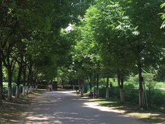 -幕燕滨江·长江观音景区