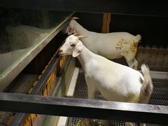 -上海昆虫博物馆